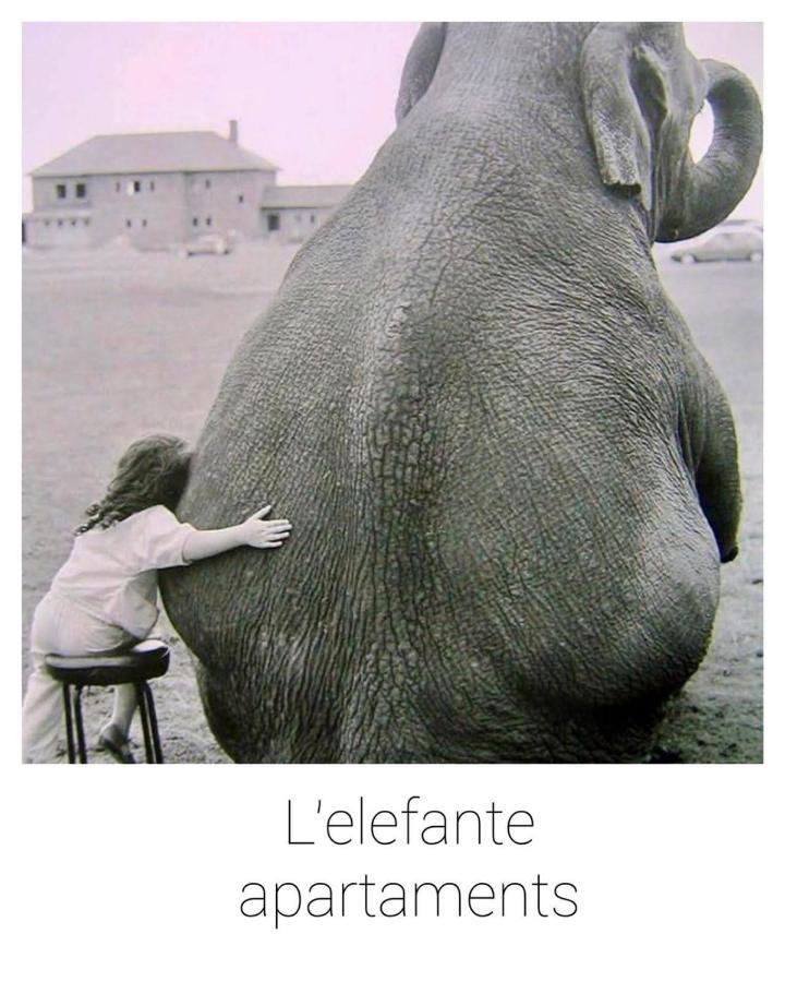 Elefante Appartamenti 페스카라 외부 사진